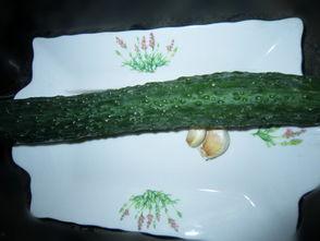 出海吃瓜,一网打尽全球“吃瓜”热点