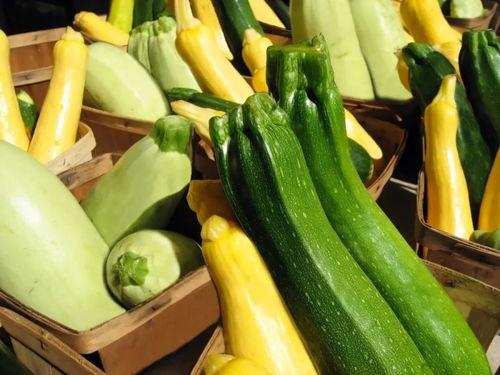 带你吃瓜辣椒鱼,带你品尝地道的辣椒鱼美食之旅