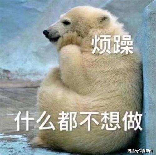 吃瓜群众治愈图片,吃瓜群众的视觉盛宴