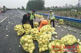 marines吃瓜群众,一场网络热词背后的文化现象