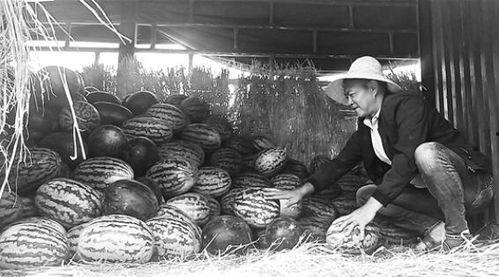 广宗吃瓜群众,揭秘当地独特民俗风情