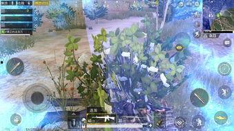 雷火吃瓜,揭秘娱乐圈幕后风云