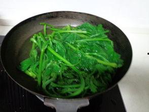 瓜尖叶子怎么炒着吃,家常美味新尝试