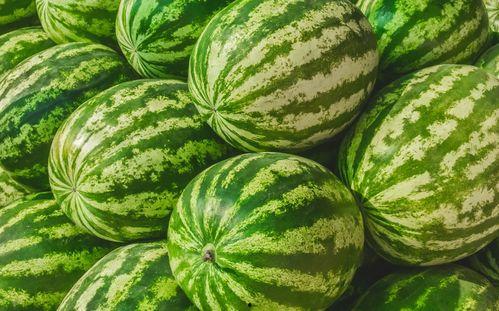 福州理性吃瓜事件,网络舆论的冷静反思与启示