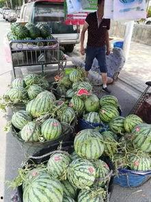 义乌工商吃瓜事件,一场网络热议的真相揭秘