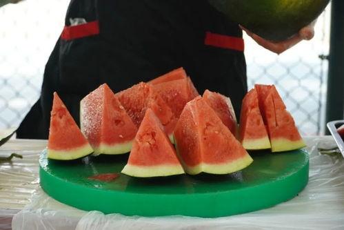 浙江经职吃瓜,揭秘校园里的“吃瓜”风云