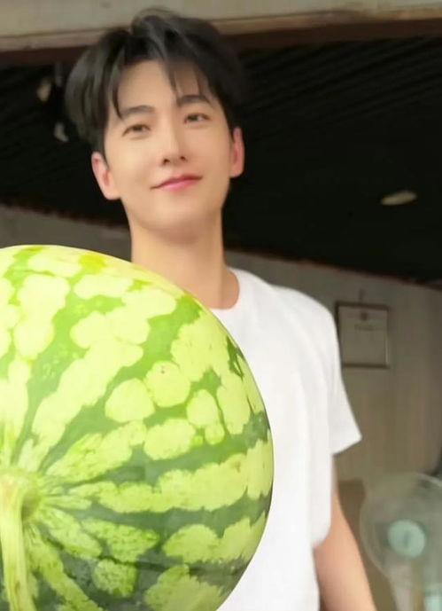 吃瓜明星图,揭秘明星幕后故事