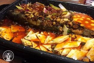 煮鱼吃瓜群众,夏日里的悠闲时光