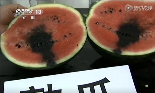 凉凉子吃瓜视频