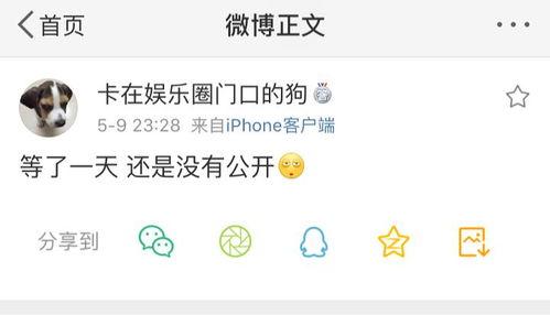 专门爆料吃瓜,独家爆料，吃瓜群众狂欢时刻