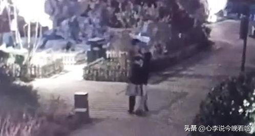 版纳吃瓜事件视频,一场引发热议的网络狂欢